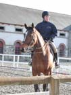 Lamballe_013