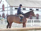 Lamballe_014