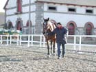 Lamballe_015