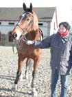 Lamballe_018