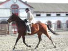 Lamballe_020