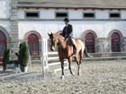 Lamballe_026