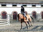 Lamballe_035