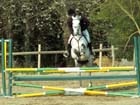 saint-lunaire_018