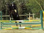 saint-lunaire_021