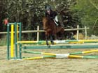 saint-lunaire_040
