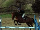 saint-lunaire_042