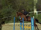 saint-lunaire_044