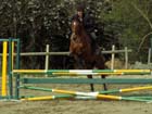saint-lunaire_045