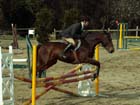 saint-lunaire_048