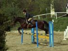 saint-lunaire_049
