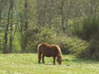 saint-lunaire_081
