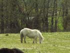 saint-lunaire_082