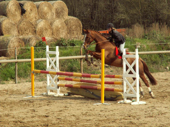 saint-lunaire_130