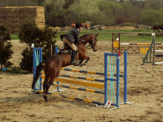 saint-lunaire_136