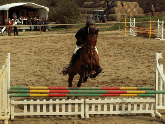 saint-lunaire_138