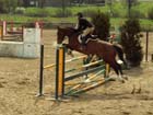 saint-lunaire_092