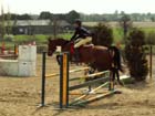 saint-lunaire_102
