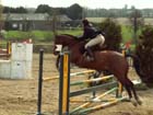 saint-lunaire_106