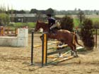 saint-lunaire_113
