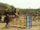 saint-lunaire_117