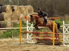 saint-lunaire_118