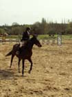 saint-lunaire_122