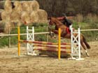 saint-lunaire_130
