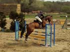 saint-lunaire_140