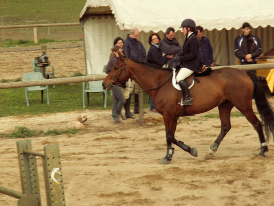 saint-lunaire_166