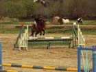 saint-lunaire_165