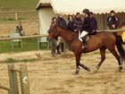 saint-lunaire_166