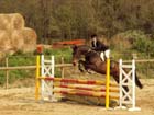 saint-lunaire_167