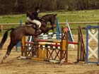 saint-lunaire_169