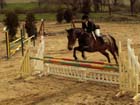 saint-lunaire_170
