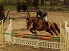 saint-lunaire_184