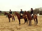 saint-lunaire_186