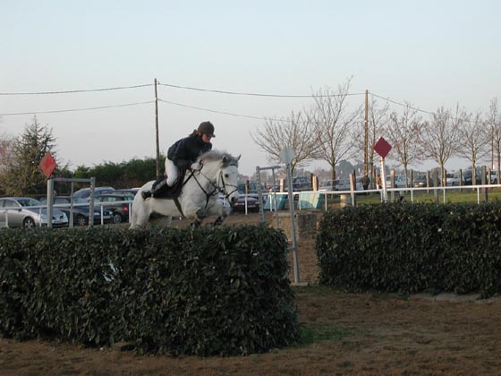 la_cravache (103)
