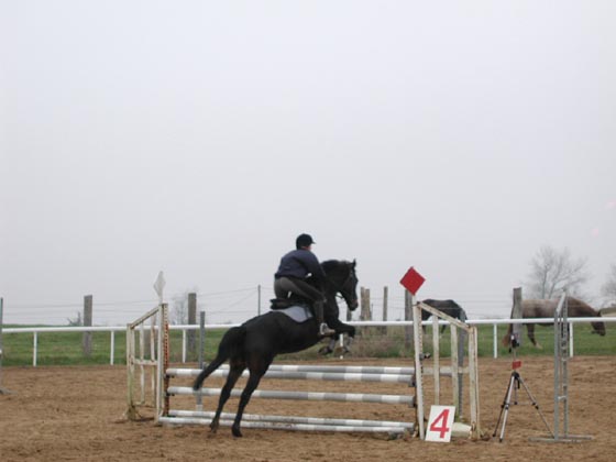 la_cravache (18)