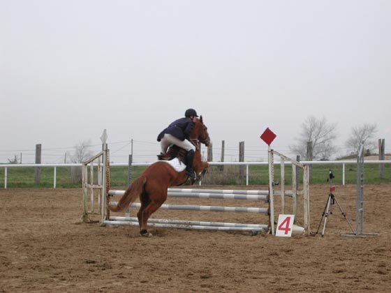 la_cravache (45)