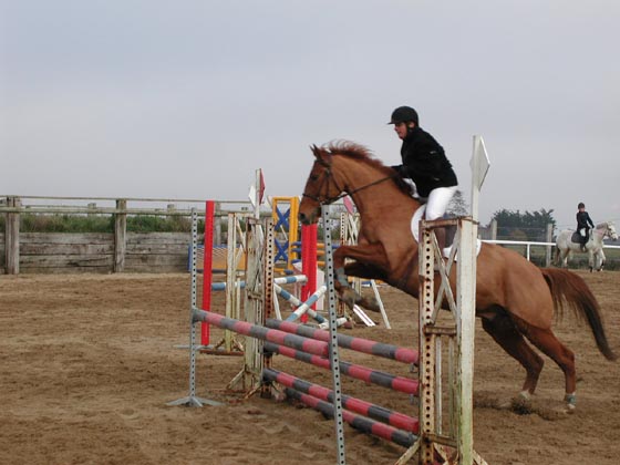 la_cravache (68)