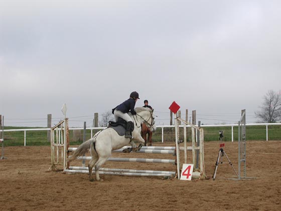la_cravache (73)
