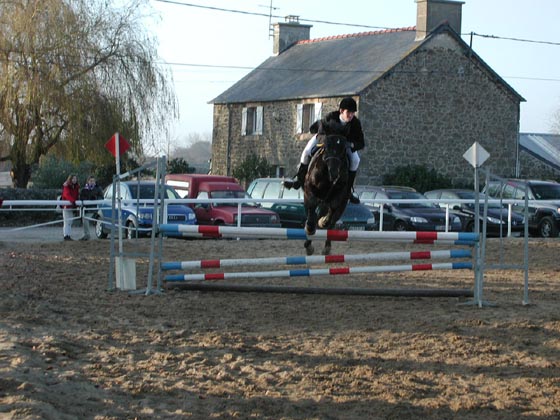 la_cravache (88)