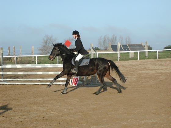 la_cravache (93)