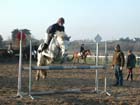 la_cravache (100)