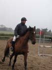 la_cravache (25)