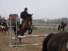 la_cravache (30)