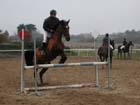 la_cravache (33)