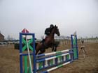 la_cravache (38)