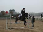 la_cravache (4)